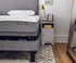 Twin XL Harmony Hi Low Hospital Home Care Medical Electric Adjustable Bed
