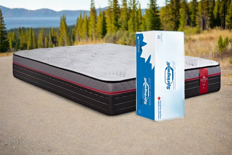 RV King Size Chiropractic Bruce 11