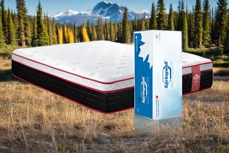 California King Size Chiropractic Pelee 13