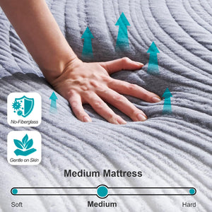 Queen Mattress，10 Inch Mattress Twolike Gel Memorys Foam Mattress in Box, Mattress for Back Pain Reliefs, Double Bed Mattress for Sleep Supportive and Pressure Alleviation