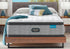 Beautyrest 15.75" Harmony Lux Carbon Series Medium Pillow Top Mattress With Pocket Coil - DirectBed | Mattress Stores Hamilton, Niagara Falls, St Catharines, Stoney Creek, Burlington, Oakville, Ancaster