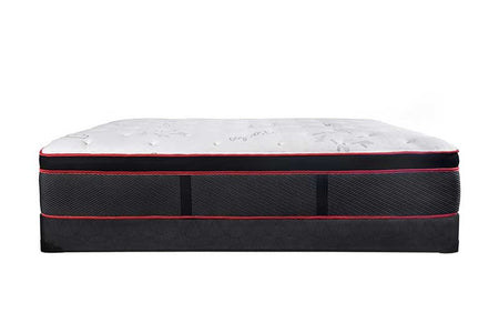 Twin Extra Long Cambridge Suite - 14" Luxury Firm & Plush High Coil Pillowtop Mattress - DirectBed