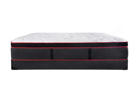 3/4 Super Single Cambridge Suite - 14" Luxury Firm & Plush High Coil Pillowtop Three Quarter Size Mattress - DirectBed