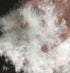 Summit Pillow with Feather Surround (1 Pillow) - DirectBed