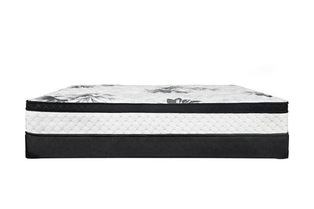 Double Baffin Suite Mattress - 11" Thick Memory Foam Pocket Coil Pillowtop Mattress - DirectBed