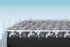 King Hamilton Suite - 5.5 " Canadian Made Foam Mattress - DirectBed