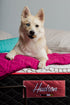 Short Queen Hudson Suite Mattress - 10" Thick Premium Cool Memory Foam Mattress Mattress - DirectBed