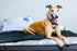 Queen Quantum Suite Hybrid Boxtop Mattress - DirectBed | Mattress Stores Hamilton, Niagara Falls, St Catharines, Stoney Creek, Burlington, Oakville, Ancaster