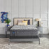 Sealy 13" Posturepedic® Plus 900 Series Stunning Medium Feel Euro Top Mattress - DirectBed | Mattress Stores Hamilton, Niagara Falls, St Catharines, Stoney Creek, Burlington, Oakville, Ancaster