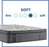 Sealy 13" Posturepedic® Plus 900 Series Stunning Medium Feel Euro Top Mattress - DirectBed | Mattress Stores Hamilton, Niagara Falls, St Catharines, Stoney Creek, Burlington, Oakville, Ancaster
