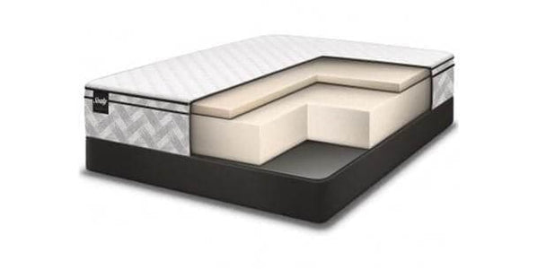 Double Sealy - Essentials - Boxwood 9.5" Eurotop Mattress Foam Firm - DirectBed | Mattress Stores Hamilton, Niagara Falls, St Catharines, Stoney Creek, Burlington, Oakville, Ancaster