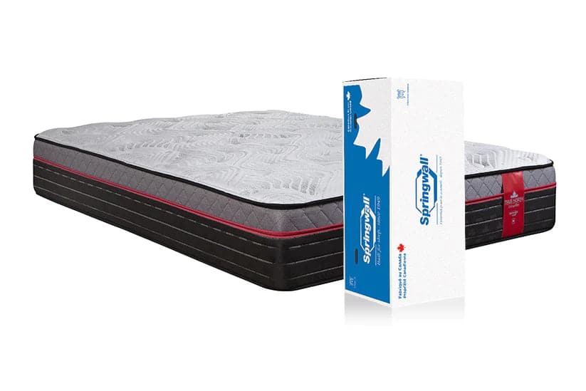 Springwall Bruce Double / Full XL Chiropractic Bruce 11